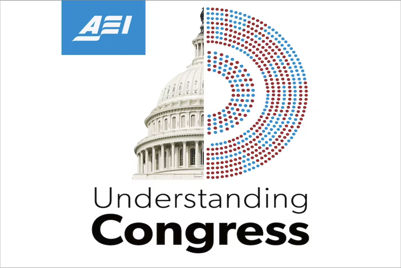 The CEL on “Understanding Congress”